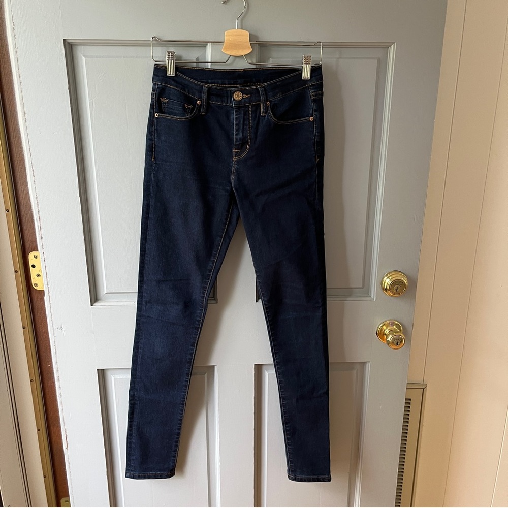 BDG Darkwash Skinny Jeans, 27